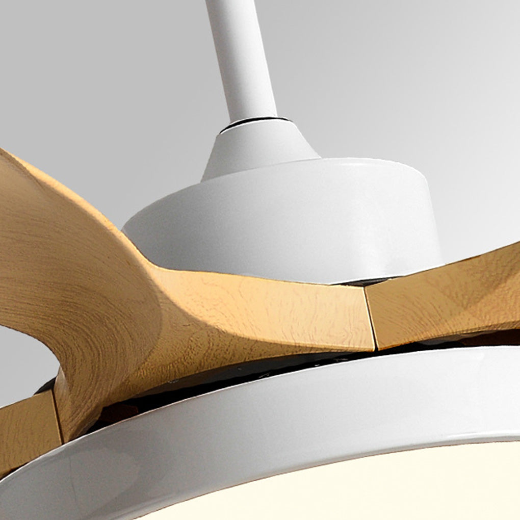 Stylish 60-Inch Nordic Ceiling Fan with Remote, Lights & Silent Inverter