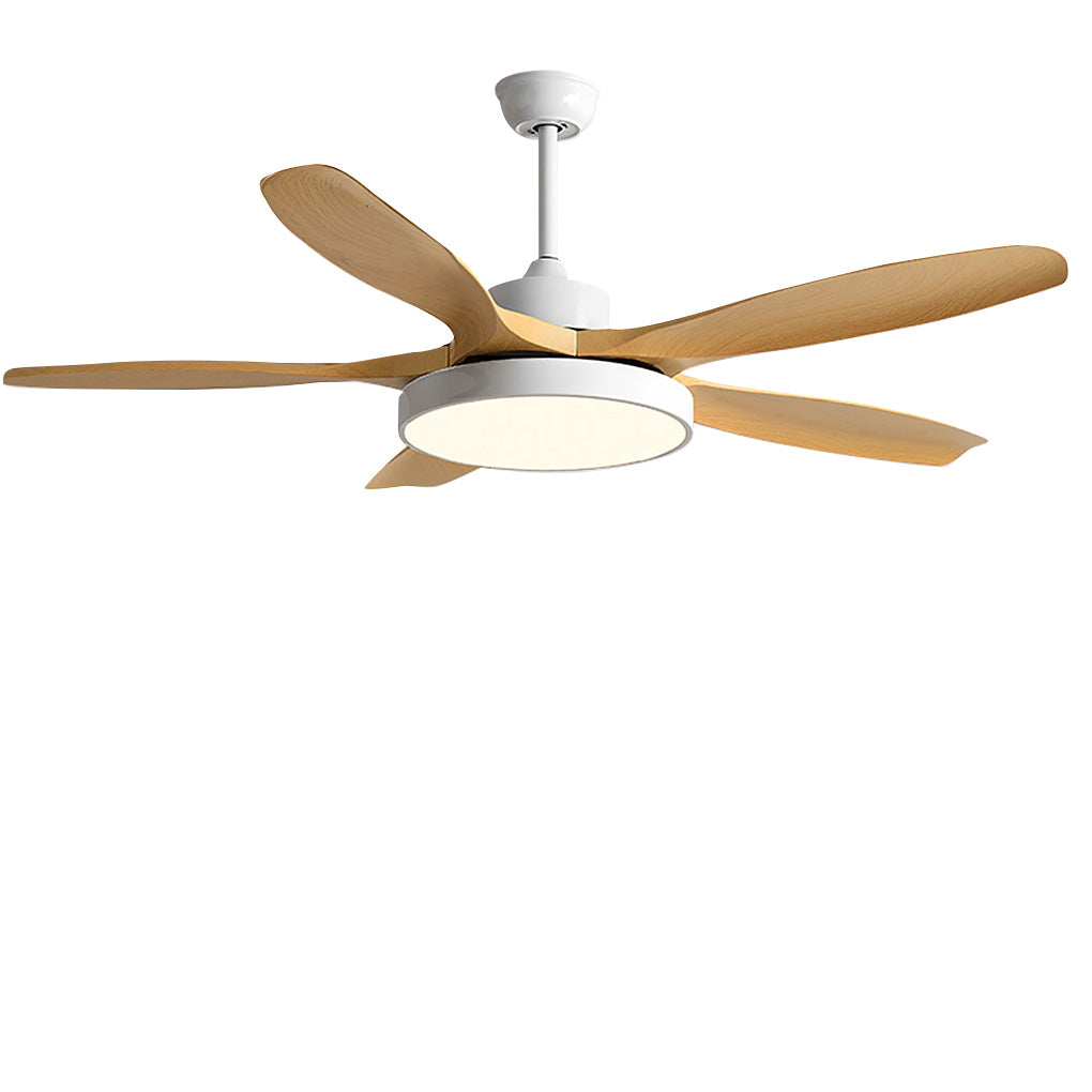 Stylish 60-Inch Nordic Ceiling Fan with Remote, Lights & Silent Inverter