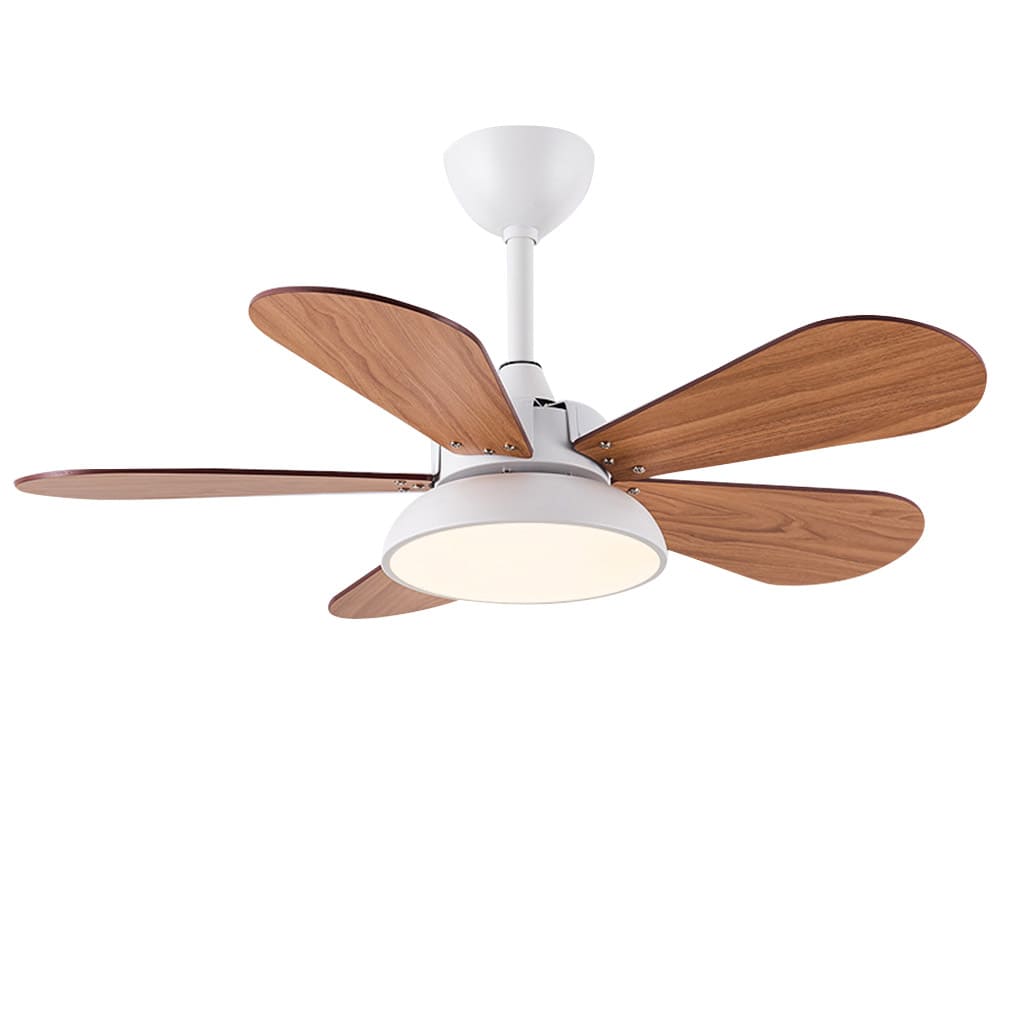 Colorful Nordic Cartoon Kids Ceiling Fan with Lights for Playrooms