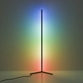 Elegant Modern Black Metal Floor Lamp for Living Room and Bedroom