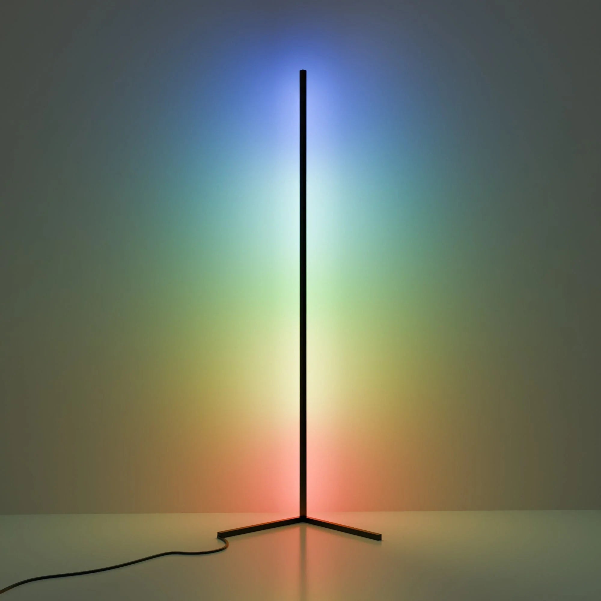 Elegant Modern Black Metal Floor Lamp for Living Room and Bedroom