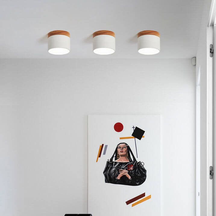 Elegant Scandinavian Solid Color LED Flush Mount Ceiling Light for Home