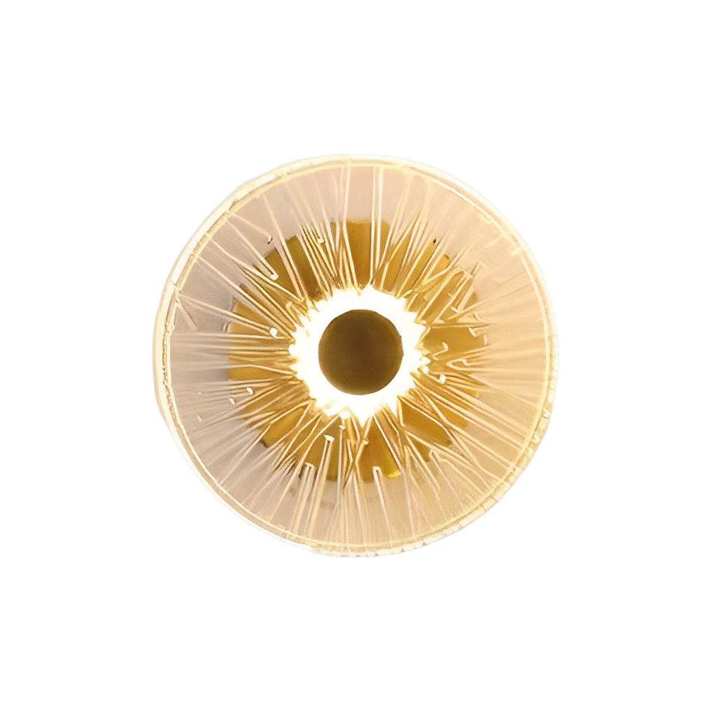 Luxury Round Glass LED Wall Light Fixture for Modern Living Spaces