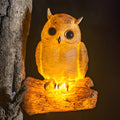 Colorful Resin Parrot Design 24V Waterproof LED Outdoor Garden Light