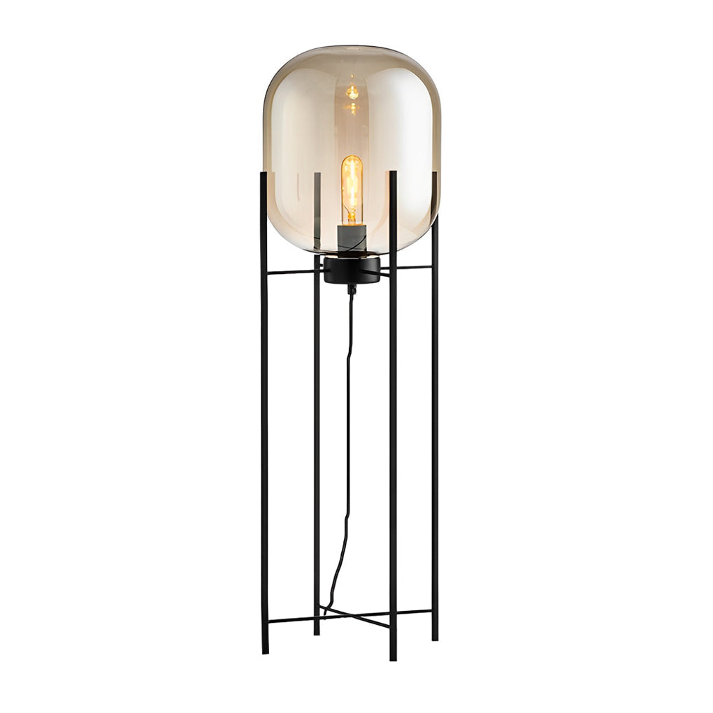 Industrial Bubble Glass Floor Lamp with Metal Rods for Living Room