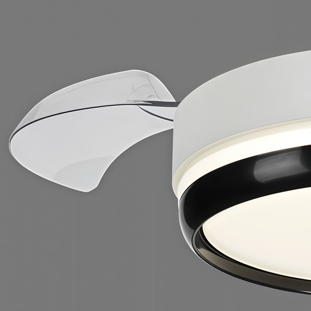 Modern Minimalist White LED Ceiling Fan Light with Remote for Home