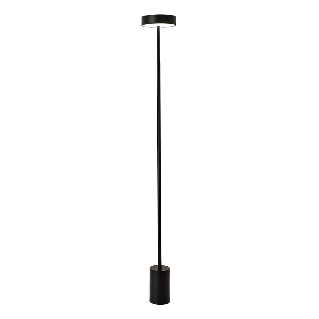 Chic Dimmable Petite Modern Floor Lamp in Black for Living Room Reading