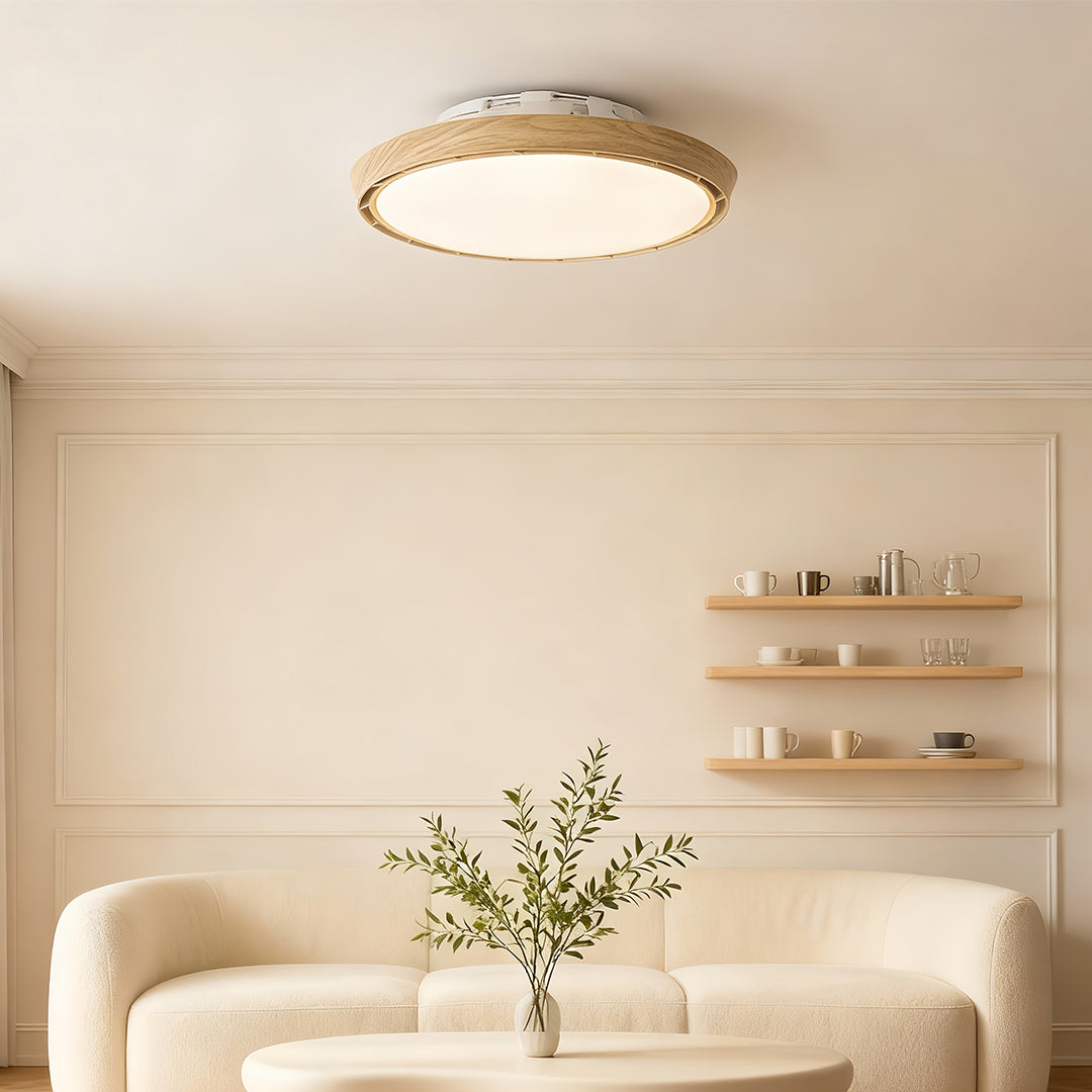 Dimmable Round LED Ceiling Fan Light - Modern White Leafless Design for Living Room