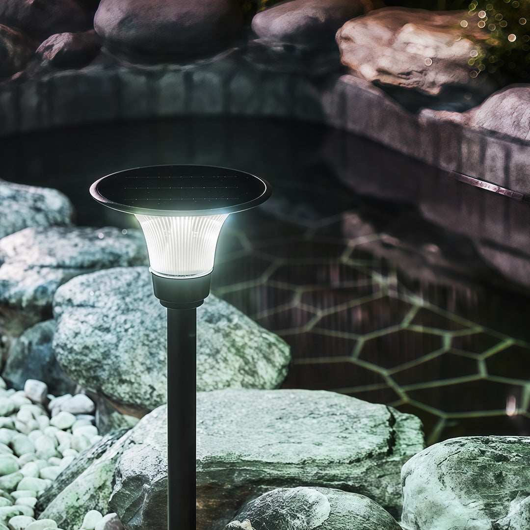 Elegant Black Solar-Powered Pathway Lights for Outdoor Garden Lighting