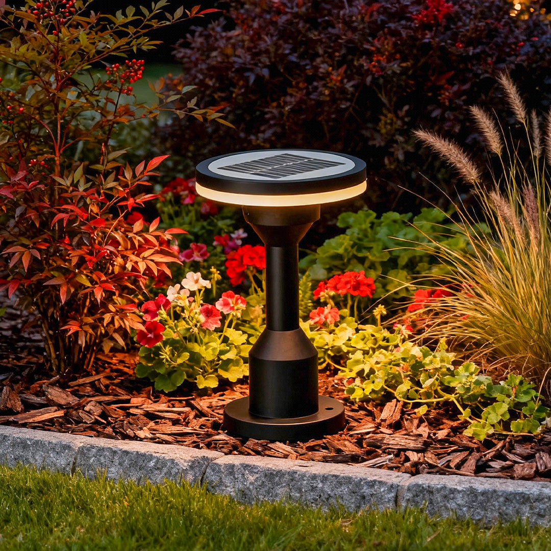 Elegant Solar-Powered Waterproof LED Garden Pathway Light for Outdoors