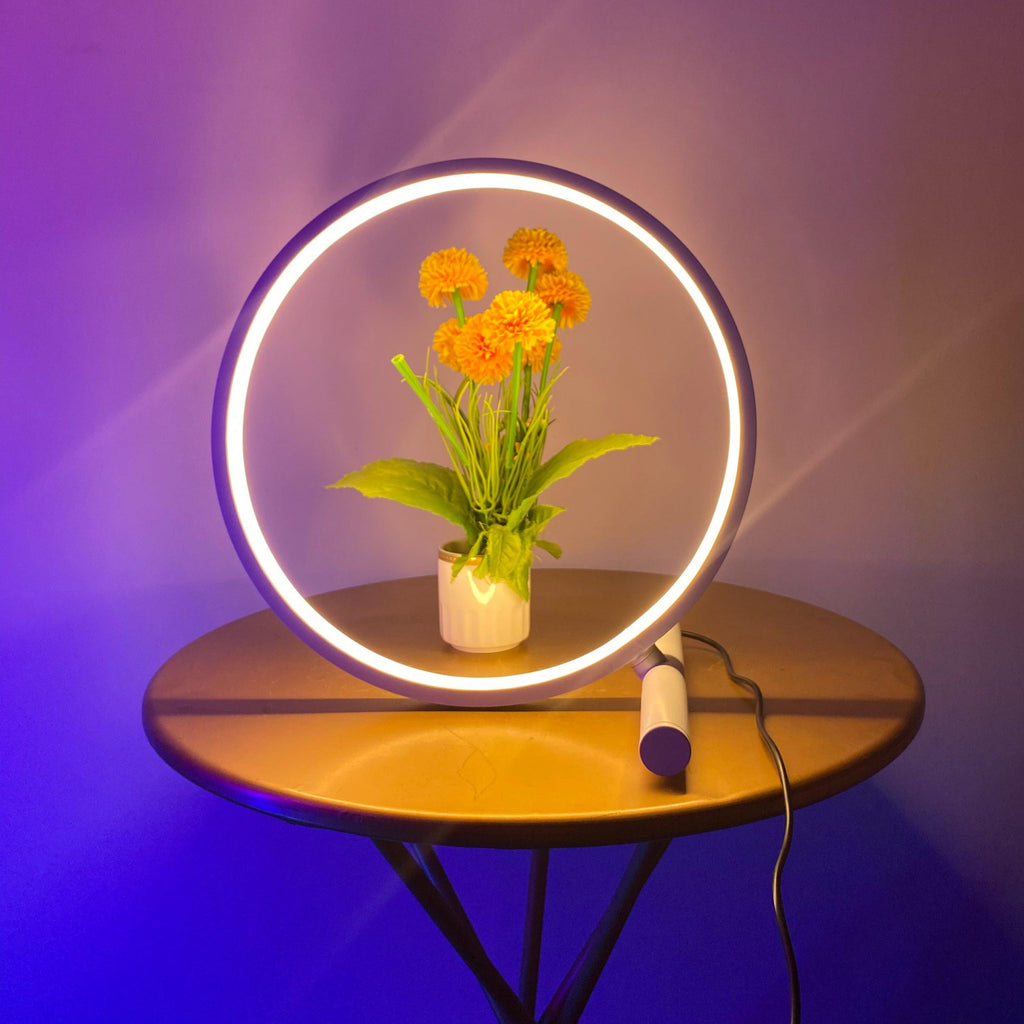 Contemporary White Ceramic Halo Table Lamp for Living Room Bedroom