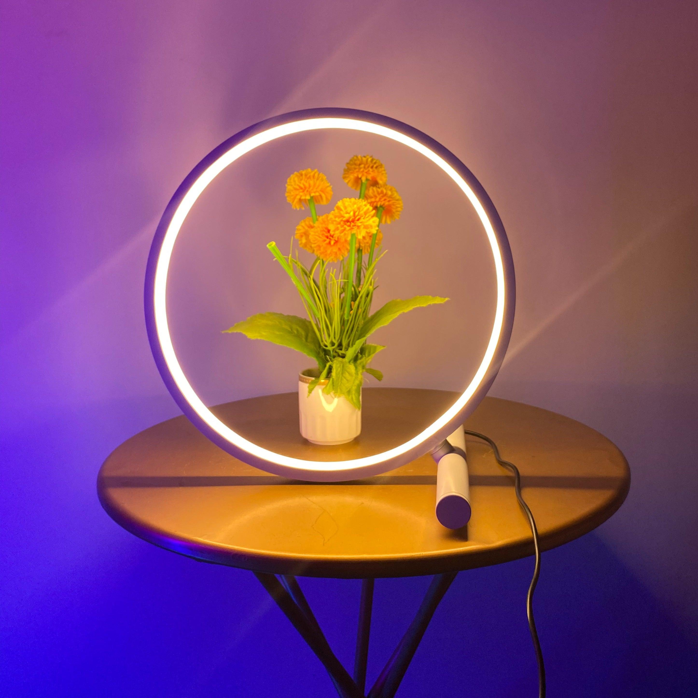 Contemporary White Ceramic Halo Table Lamp for Living Room Bedroom