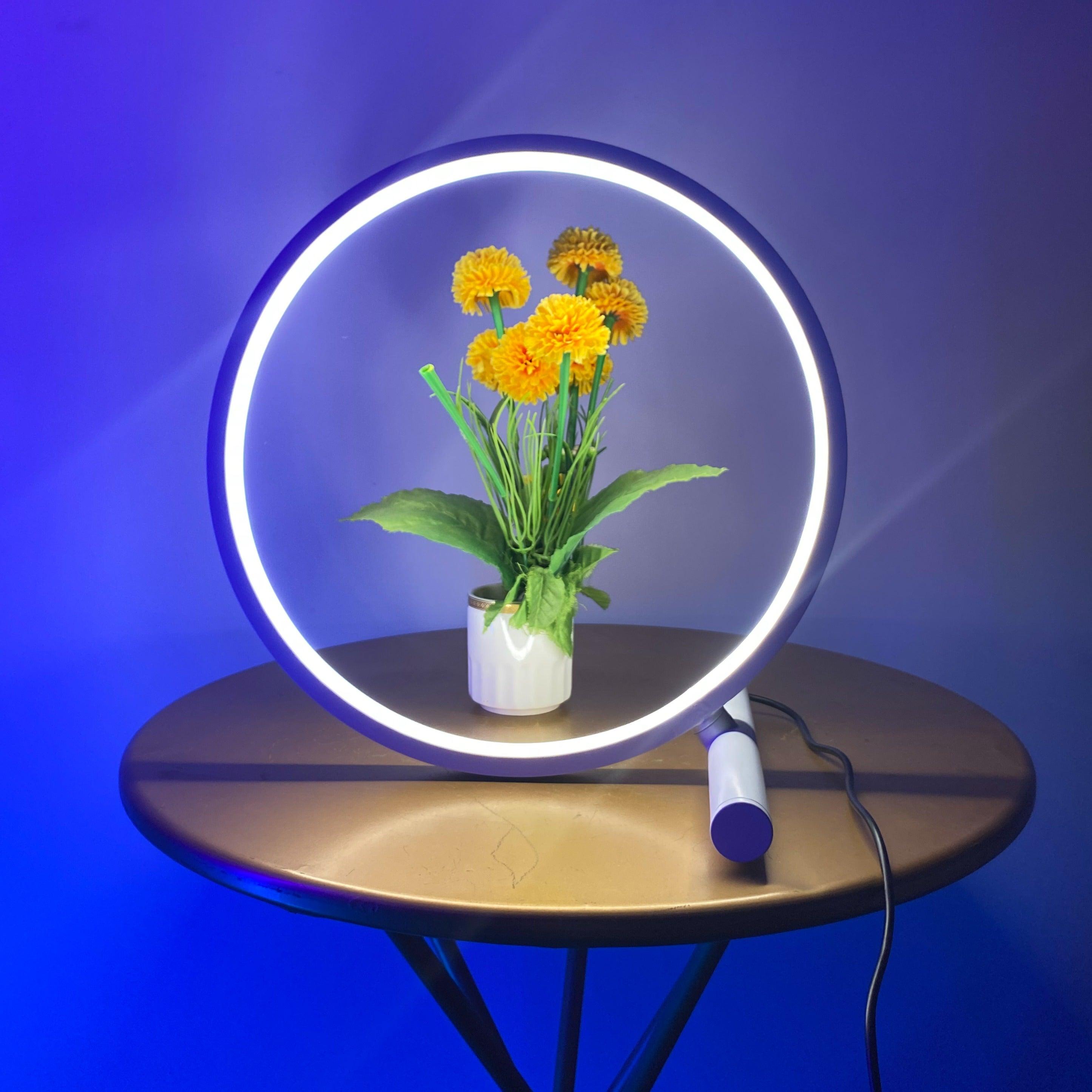Contemporary White Ceramic Halo Table Lamp for Living Room Bedroom
