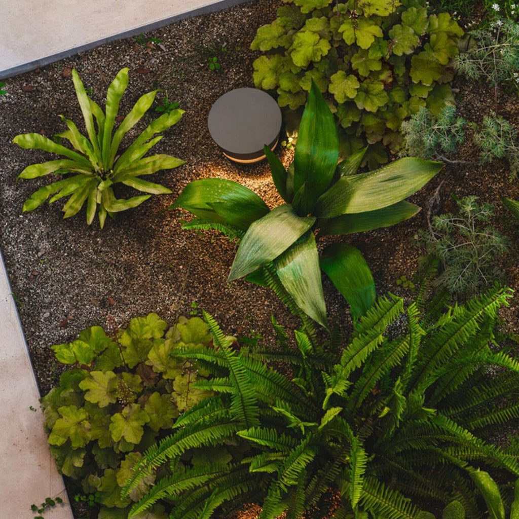 Sleek Black Minimalist Pathway Lights for Outdoor Lawn and Garden Use