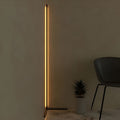 Modern Minimalist Black LED Corner Floor Lamp for Living Room Ambiance