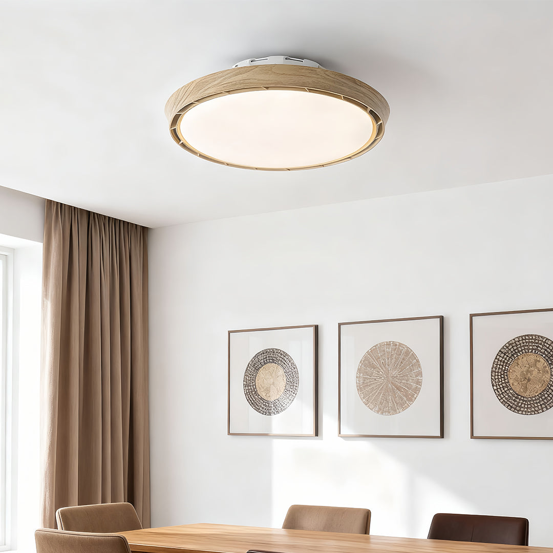 Dimmable Round LED Ceiling Fan Light - Modern White Leafless Design for Living Room