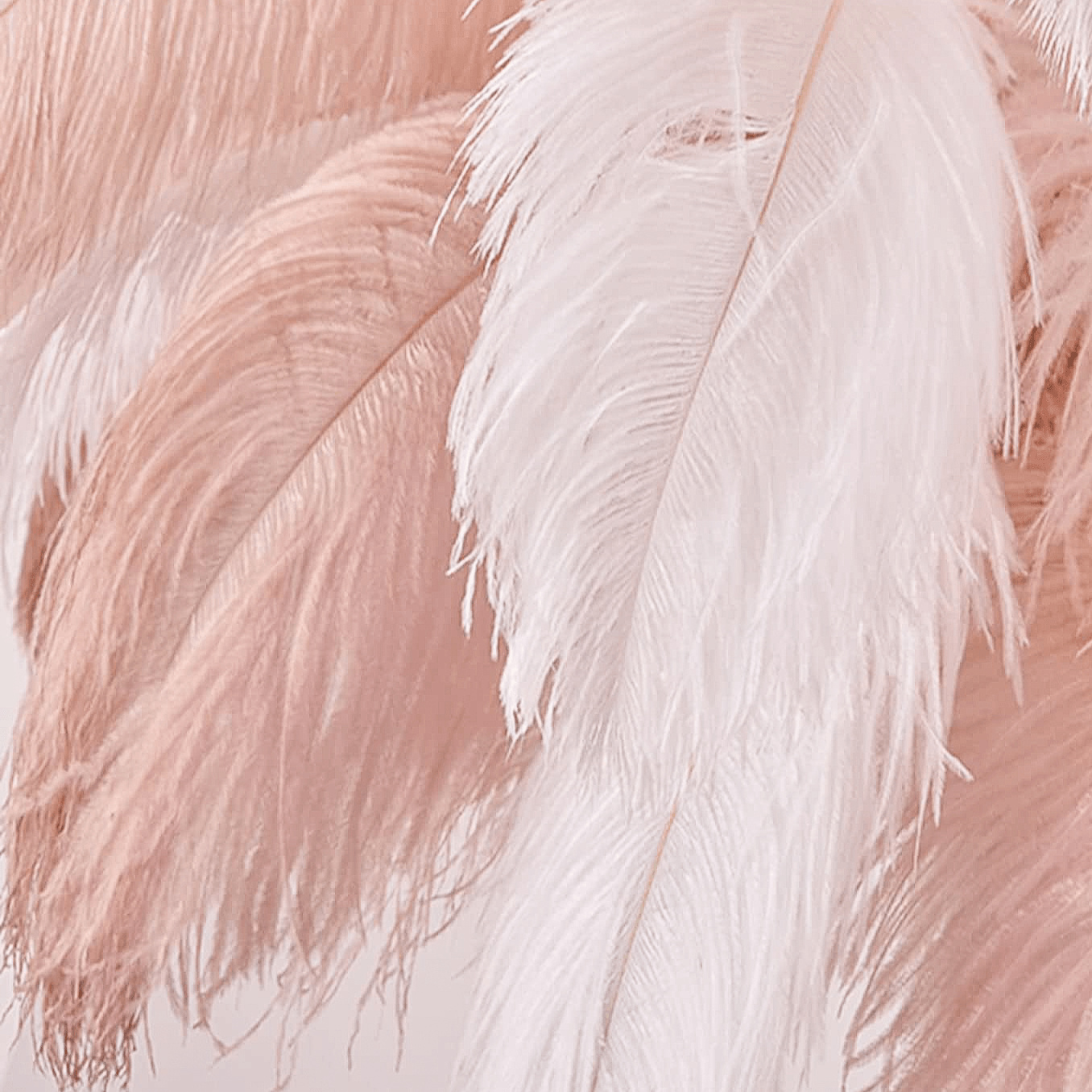 Luxurious White Ostrich Feather Floor Lamp for Living Room Bedroom Deco