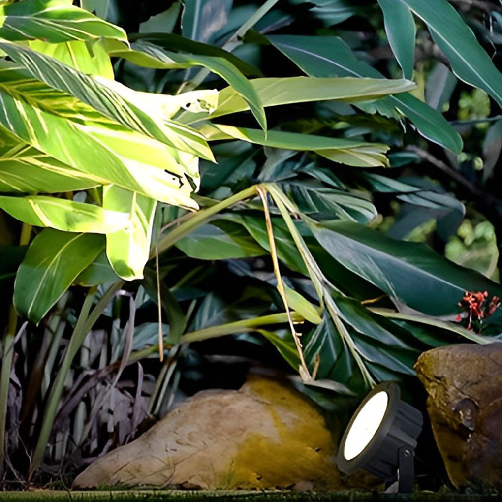 Modern Black Aluminum LED Spotlights for Energy-Efficient Garden Lighting