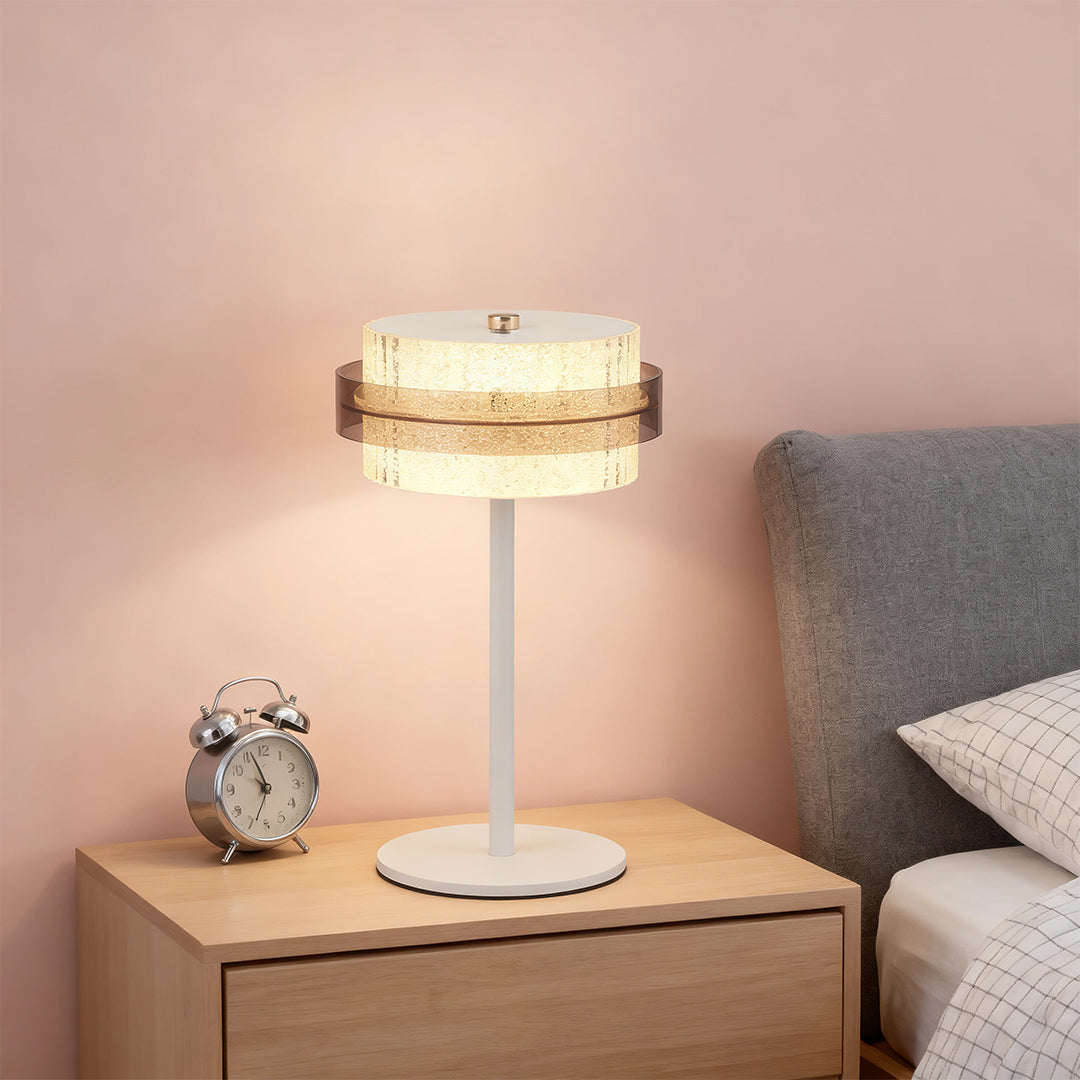 Rustic Vintage Iron Frame Table Lamp with Warm Light Shade for Bedroom