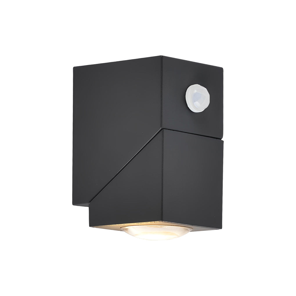 Adjustable Black Waterproof Up Down Outdoor Wall Sconce Light Fixture
