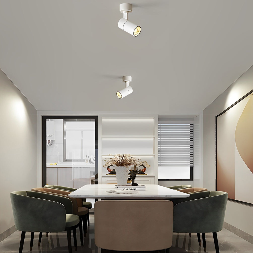 Modern White Adjustable Surface-Mounted Spot Light for Living Room