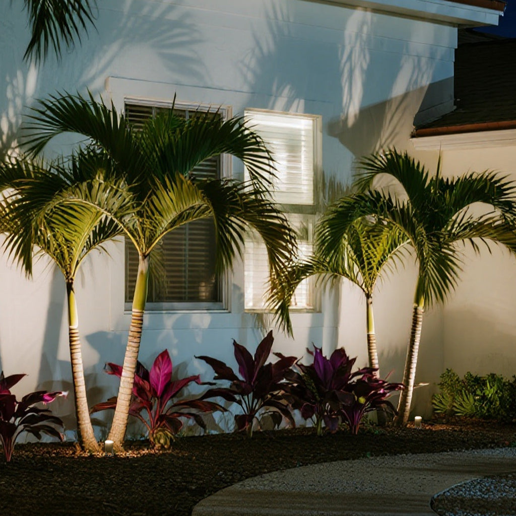 Durable Stainless Steel Waterproof Outdoor Spotlights for Garden Pathways