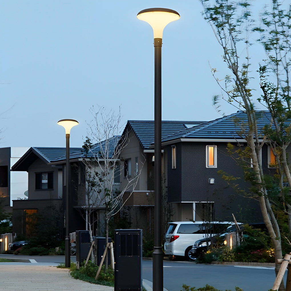 Modern Black LED Solar Street Light - Waterproof Outdoor Pole Lamp