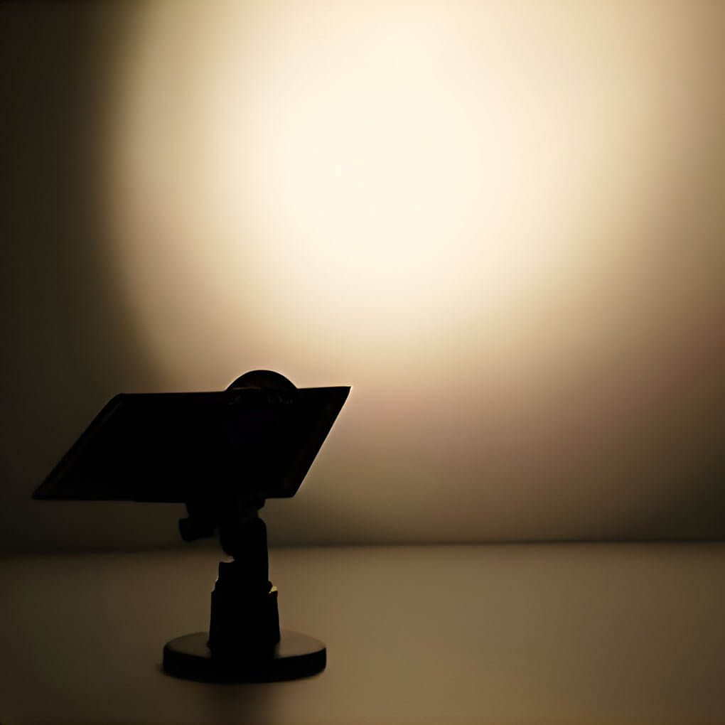 Adjustable Solar-Powered Outdoor Lawn Spotlights in Sleek Black Design